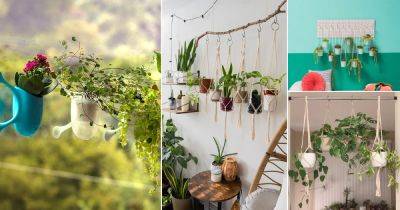 12 Hacks to Hang Plants Without Damaging Your Ceiling or Wall - balconygardenweb.com