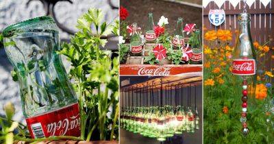 24 Times Old Coca Cola & Pepsi Bottles Turned into Treasures in Garden - balconygardenweb.com
