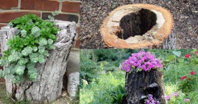 How to Make a Tree Stump Planter in 4 Steps - balconygardenweb.com