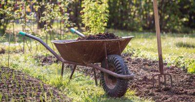 How to Use Leaves for Compost and Mulch - gardenerspath.com