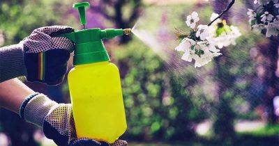How to Apply Herbicides and Pesticides Safely - gardenerspath.com