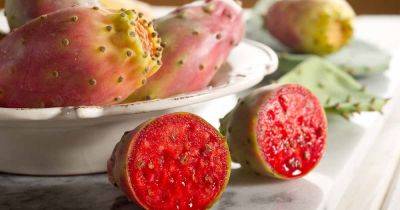 How to Harvest Prickly Pear (Opuntia) Fruit - gardenerspath.com - Usa