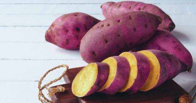 21 of the Best Sweet Potato Cultivars to Grow at Home - gardenerspath.com