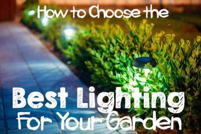 How to Choose the Best Lighting for Your Garden | Gardener's Path - gardenerspath.com