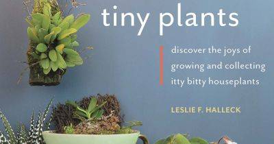 Tiny Plants Book Review - gardenerspath.com