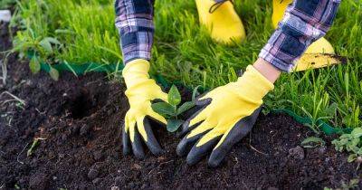 17 of the Best Gardening Gloves in 2023 - gardenerspath.com