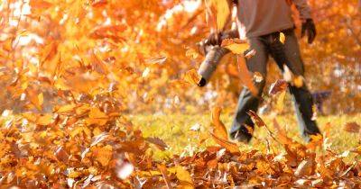 9 of the Best Leaf Blowers in 2022 | A Gardener’s Path Buying Guide - gardenerspath.com