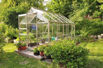 How to Avoid the Most Common Greenhouse Mistakes | Gardener's Path - gardenerspath.com
