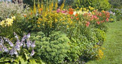 The 19 Best Perennials for Late Summer Color | Gardener's Path - gardenerspath.com - Usa