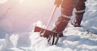 The Best Snow Shovels for Your Home in 2022 | Gardener's Path - gardenerspath.com
