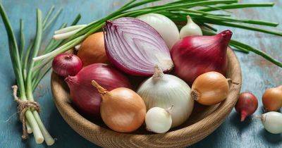 How to Store Homegrown Onions - gardenerspath.com - Spain