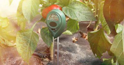 9 of the Best Soil Moisture Meters - gardenerspath.com