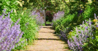 How to Get Creative with Garden Paths in Your Yard - gardenerspath.com