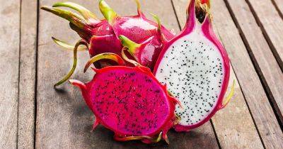 11 of The Best Dragon Fruit (Pitaya) Cultivars - gardenerspath.com - Usa - Guatemala