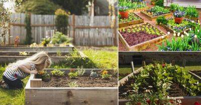 How to Make a Raised Garden Bed | What are Raised Beds | - balconygardenweb.com