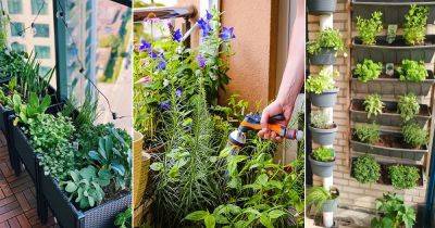How to Make a Balcony Herb Garden | Complete Tutorial - balconygardenweb.com