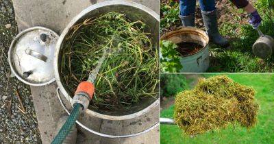 How to Make Liquid Grass Clipping Tea Fertilizer | - balconygardenweb.com