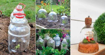 18 Great DIY Garden Cloche Ideas for Plants - balconygardenweb.com