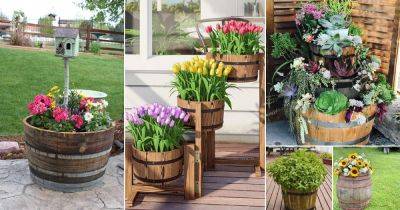 31 Fantastic Whiskey Barrel Planter Ideas + How To Make a Whiskey Barrel Planter - balconygardenweb.com