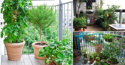 20 Edible Balcony Garden Pictures for Ideas - balconygardenweb.com