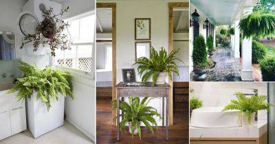 22 Ways to Stylize Your Home with Big & Lush Ferns - balconygardenweb.com