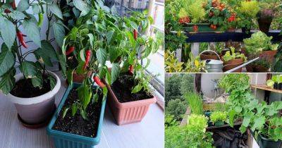 Edible Balcony Gardens that Prove Growing Your Food is Possible - balconygardenweb.com