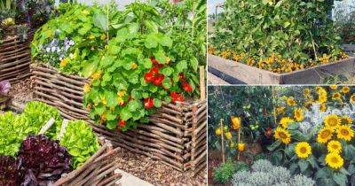 11 Flowering Plants You Should Plant in a Vegetable Garden - balconygardenweb.com