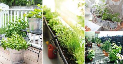6 Types of Urban Herb Gardens That Need No Space! | - balconygardenweb.com