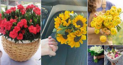 24 Stunning Flowers for First Date - balconygardenweb.com