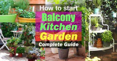 How to Start a Balcony Kitchen Garden | Complete Guide - balconygardenweb.com