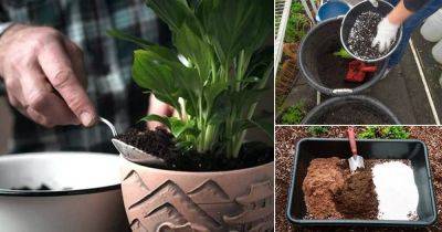 How to Make Your Own Potting Soil | Potting Mix Recipes For Everything - balconygardenweb.com