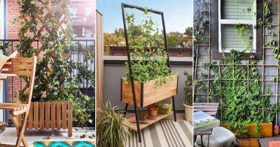 23 DIY Trellis Ideas for Balcony Gardens - balconygardenweb.com