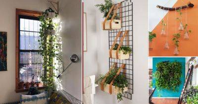 26 Fantastic Ways to Hang Plants on the Wall Like Pros - balconygardenweb.com