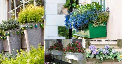 30 DIY Window Box Ideas for Curb Appeal of Your Home - balconygardenweb.com