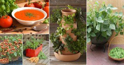 How to Make A Delicious Soup Garden in Containers - balconygardenweb.com