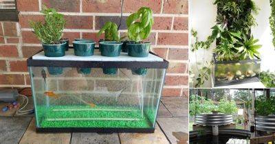 11 Aquaponics Fish Tank DIY Ideas - balconygardenweb.com