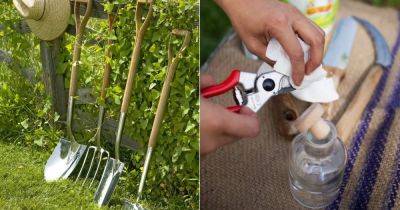 How to Clean Garden Tools | Cleaning Rusty Garden Tools | - balconygardenweb.com