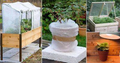 12 Brilliant Cold Weather Hacks for Plants to Create Warmth - balconygardenweb.com