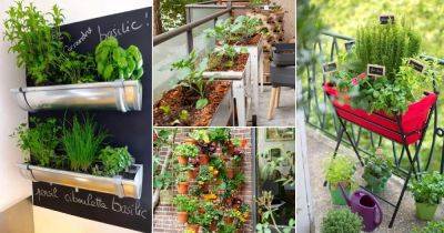 32 Balcony Kitchen Garden Ideas with Pictures - balconygardenweb.com