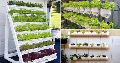 12 Easy to Make DIY Vertical Lettuce Garden Ideas - balconygardenweb.com