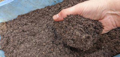 Indoor seed sowing – peat-free compost, worm casts and mole hills - growlikegrandad.co.uk