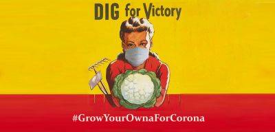 Why ‘Dig For Victory’ is vital in 2020… #GrowYourOwnaForCorona - growlikegrandad.co.uk - Britain