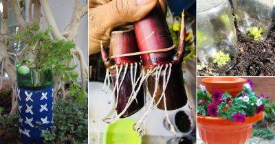 30 Incredible Budget Gardening Ideas | Garden Ideas On A Budget - balconygardenweb.com
