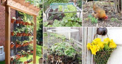 25 Absolutely Amazing DIY Chicken Wire Projects For The Garden - balconygardenweb.com