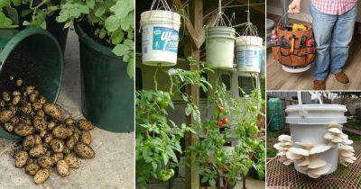 If You Have a Few Buckets You Can Use Them These 20 Ways In The Garden | Bucket Uses - balconygardenweb.com