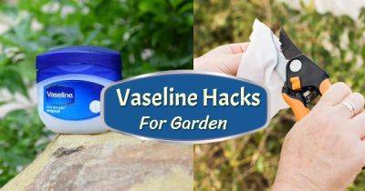 10 Vaseline Uses & Hacks For Every Gardener - balconygardenweb.com