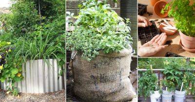 13 Ideas on How to Start a Budget Vegetable Garden in Less than $10 - balconygardenweb.com