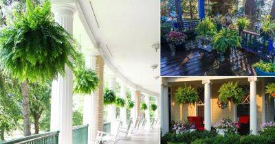 12 Fabulous Front Porch Decoration Ideas with Ferns - balconygardenweb.com - city Boston