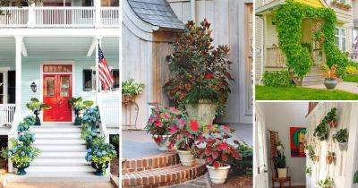 28 Plant Ideas to Spruce Up Your Entry - balconygardenweb.com