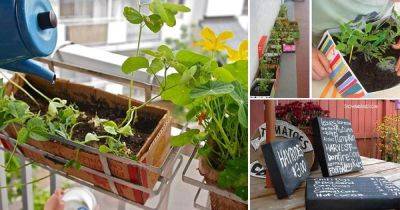 7 Best DIY Shoe box Ideas & Uses For The Garden - balconygardenweb.com